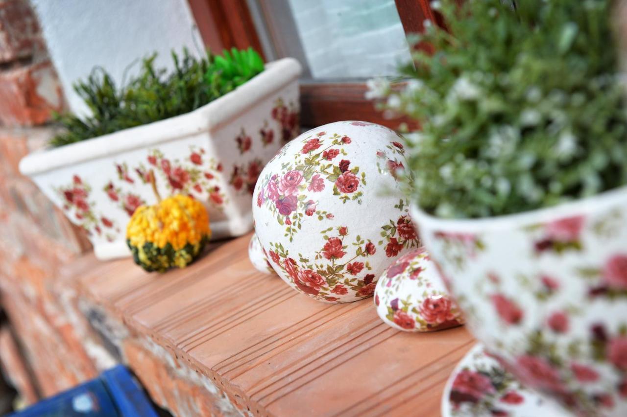 Janicsar Garden Apartman 埃格尔 外观 照片