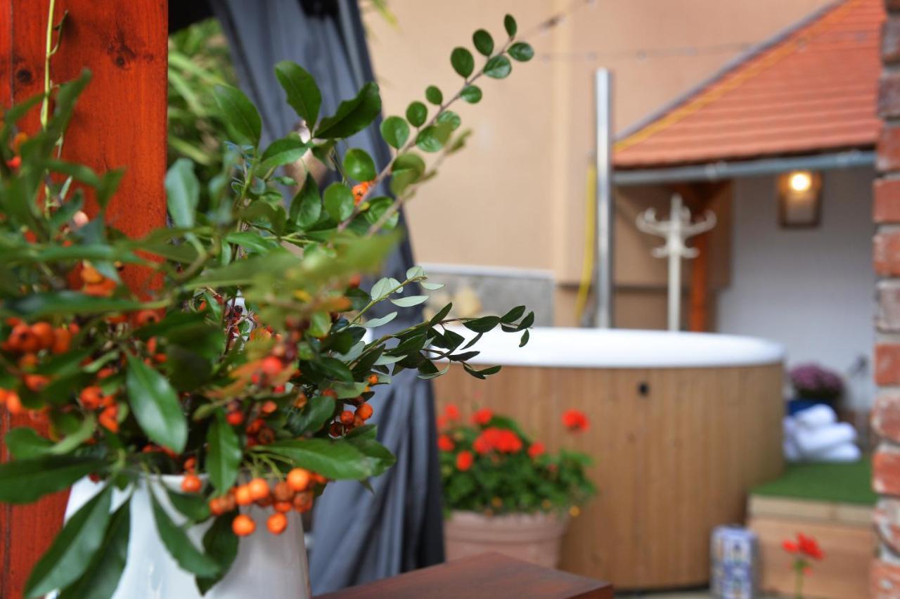 Janicsar Garden Apartman 埃格尔 外观 照片