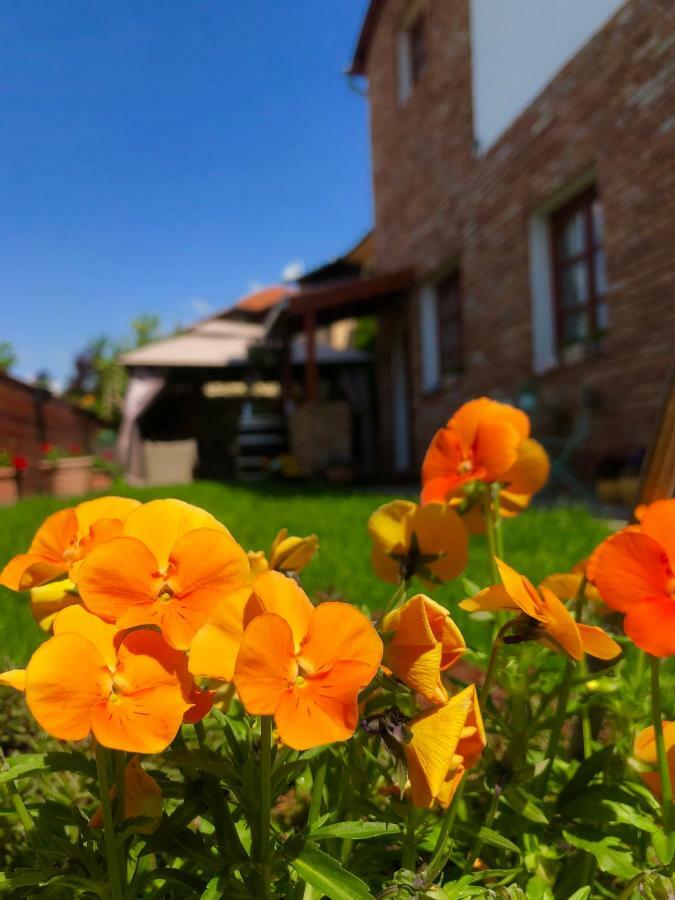 Janicsar Garden Apartman 埃格尔 外观 照片